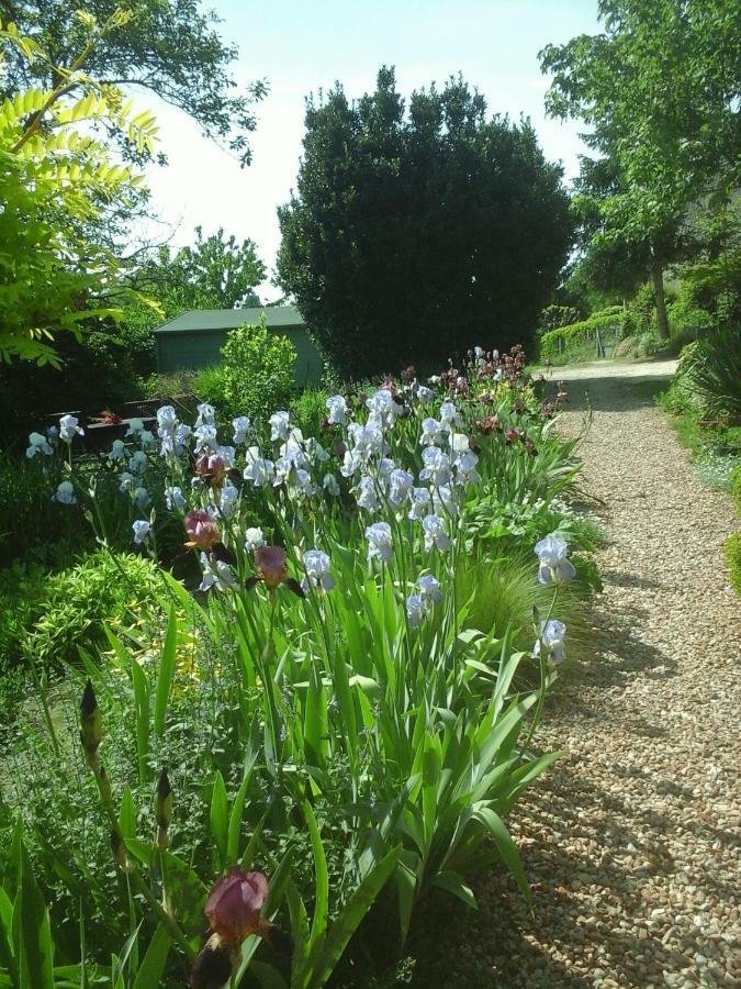 Troglodelice Bed & Breakfast Azay-le-Rideau Ngoại thất bức ảnh