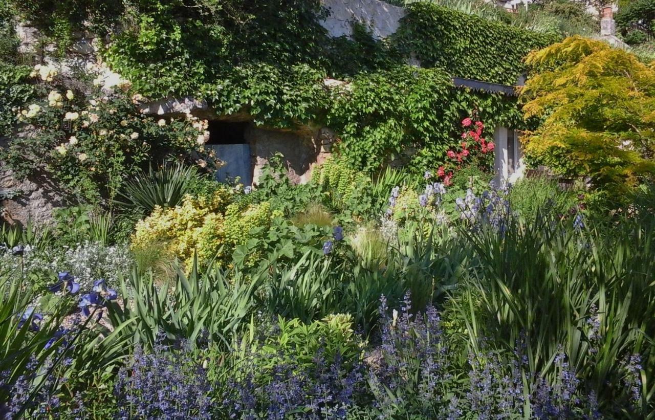 Troglodelice Bed & Breakfast Azay-le-Rideau Ngoại thất bức ảnh